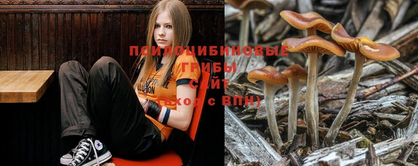 мдпв Нея