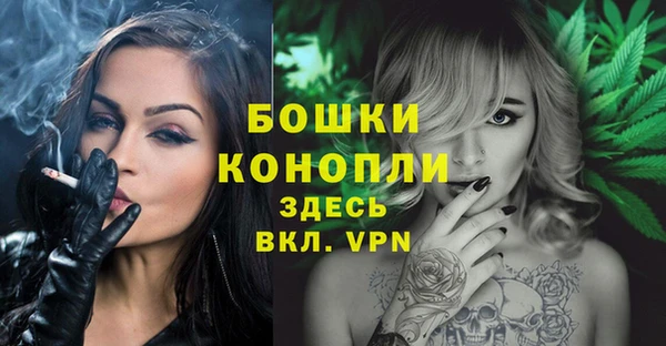 мдпв Нея