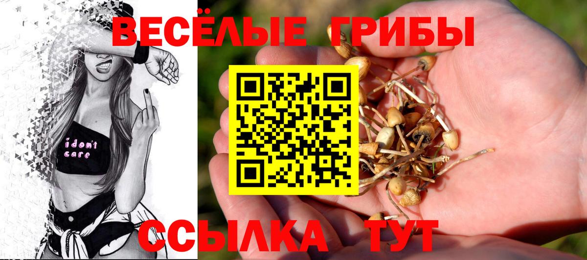 Новотроицк  Галлюциногенные грибы прущие грибы  Вход с VPN  Псилоцибиновые грибы прущие грибы 